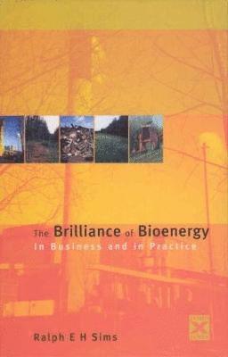 bokomslag Brilliance of Bioenergy