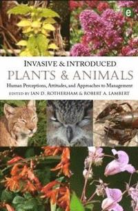 bokomslag Invasive and Introduced Plants and Animals
