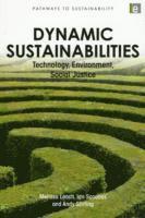 bokomslag Dynamic Sustainabilities