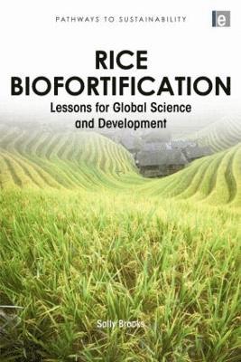 Rice Biofortification 1