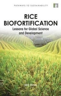 bokomslag Rice Biofortification