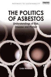 bokomslag The Politics of Asbestos