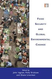 bokomslag Food Security and Global Environmental Change