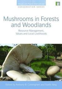 bokomslag Mushrooms in Forests and Woodlands