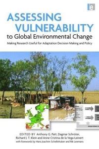 bokomslag Assessing Vulnerability to Global Environmental Change
