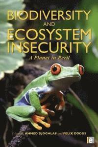 bokomslag Biodiversity and Ecosystem Insecurity