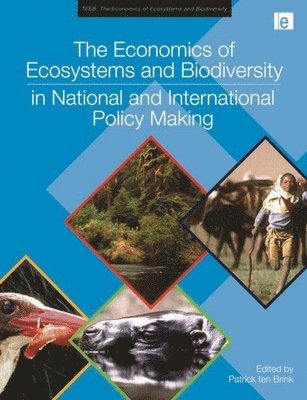 bokomslag Economics of Ecosystems and Biodiversity in National and International Policy Making