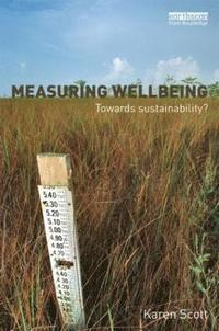 bokomslag Measuring Wellbeing: Towards Sustainability?