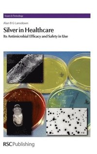 bokomslag Silver in Healthcare