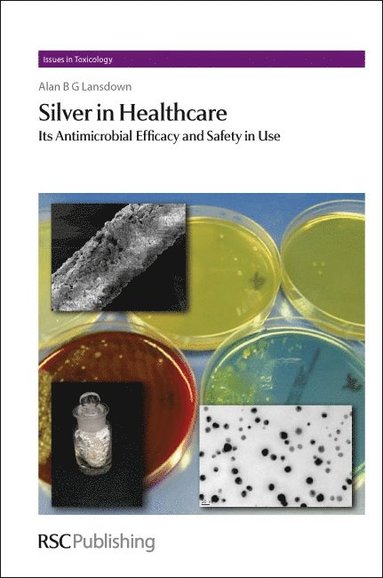 bokomslag Silver in Healthcare