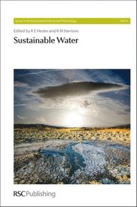 bokomslag Sustainable Water