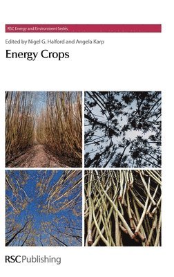 bokomslag Energy Crops