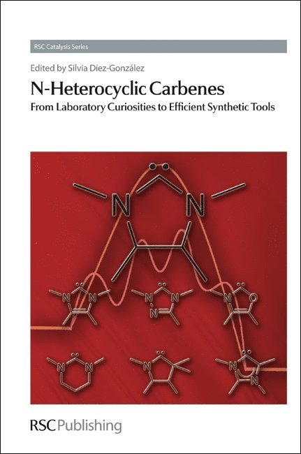 Silvia Diez-Gonzalez, UK) Diez-Gonzalez, Silvia (Imperial College London - N-Heterocyclic Carbenes, Inbunden