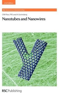 bokomslag Nanotubes and Nanowires