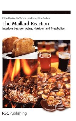 bokomslag Maillard Reaction
