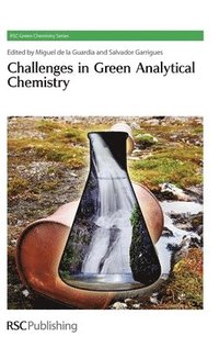 bokomslag Challenges in Green Analytical Chemistry