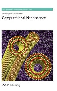 bokomslag Computational Nanoscience