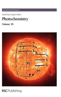 bokomslag Photochemistry