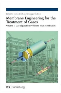 bokomslag Membrane Engineering for the Treatment of Gases