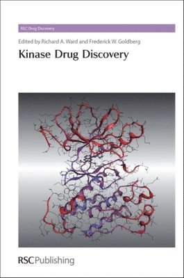 bokomslag Kinase Drug Discovery