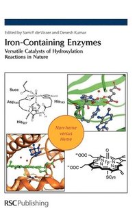 bokomslag Iron-Containing Enzymes