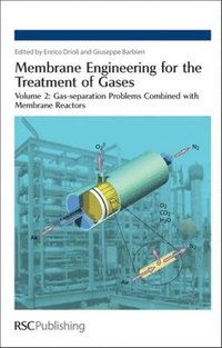 bokomslag Membrane Engineering for the Treatment of Gases