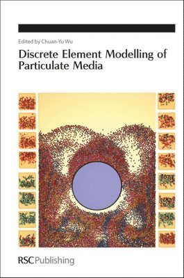 Chuan-Yu Wu, UK) Wu, Chuan-Yu (University of Surrey - Discrete Element Modelling of Particulate Media, Inbunden