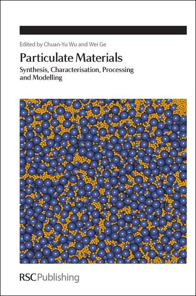 Chuan-Yu Wu, Wei Ge - Particulate Materials, Inbunden