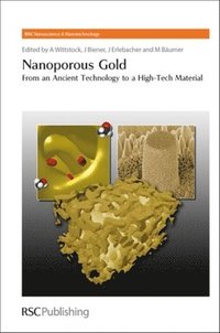 bokomslag Nanoporous Gold