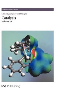 bokomslag Catalysis
