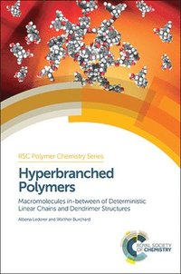 bokomslag Hyperbranched Polymers