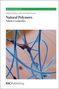 bokomslag Natural Polymers