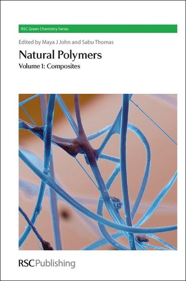 bokomslag Natural Polymers