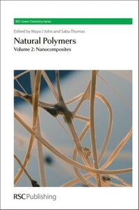 bokomslag Natural Polymers