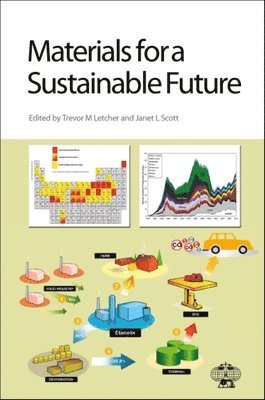 bokomslag Materials for a Sustainable Future