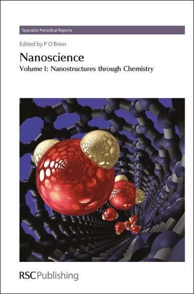 Paul O'Brien - Nanoscience, Inbunden