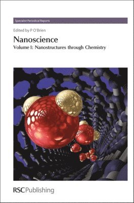 bokomslag Nanoscience
