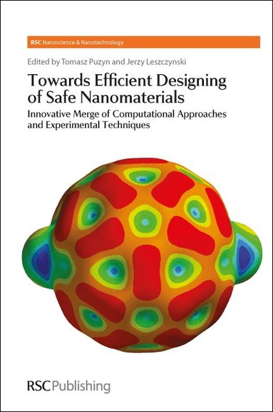 Jerzy Leszczynski, Tomasz Puzyn - Towards Efficient Designing of Safe Nanomaterials, Inbunden