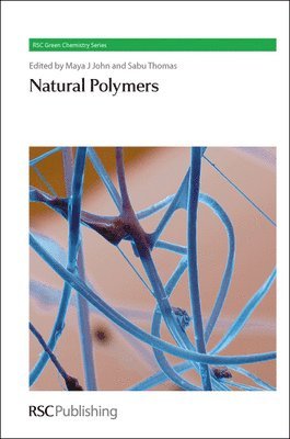 bokomslag Natural Polymers
