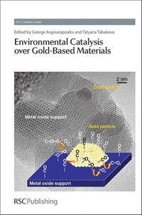 bokomslag Environmental Catalysis over Gold-Based Materials