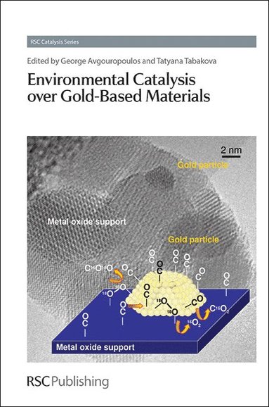 bokomslag Environmental Catalysis over Gold-Based Materials