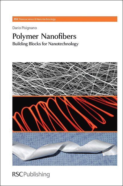 Dario Pisignano, Italy) Pisignano, Dario (University of Salento - Polymer Nanofibers, Inbunden