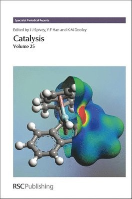 James J Spivey, K M Dooley, Yi-Fan Han, James J. Spivey, K. M. Dooley - Catalysis, Inbunden