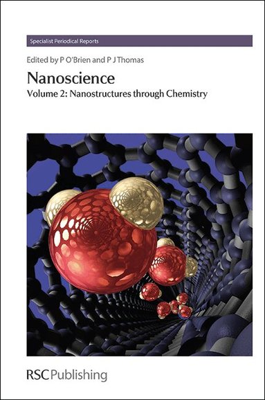 Paul O'Brien, P John Thomas - Nanoscience, Inbunden
