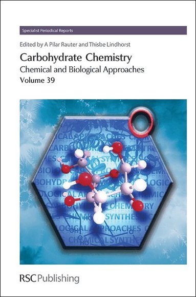 Amélia Pilar Rauter, Thisbe Lindhorst - Carbohydrate Chemistry, Inbunden