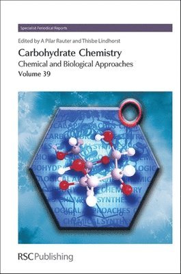 Amélia Pilar Rauter, Thisbe Lindhorst - Carbohydrate Chemistry, Inbunden