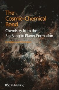 bokomslag The Cosmic-Chemical Bond