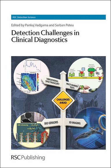 bokomslag Detection Challenges in Clinical Diagnostics