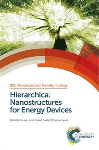 bokomslag Hierarchical Nanostructures for Energy Devices