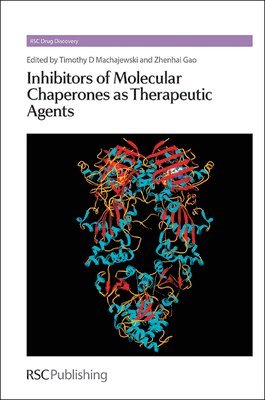 bokomslag Inhibitors of Molecular Chaperones as Therapeutic Agents